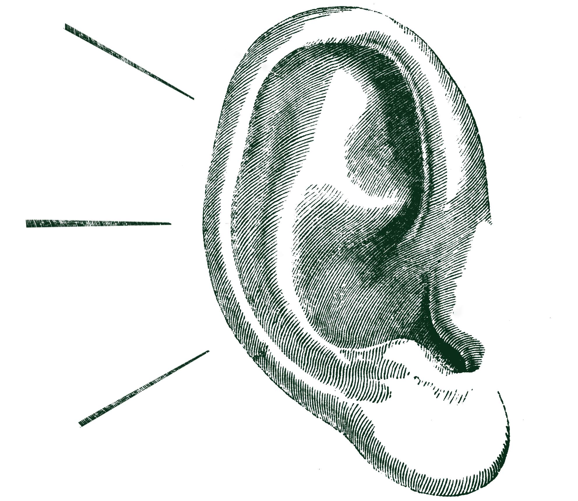 Ear02_Green (1)