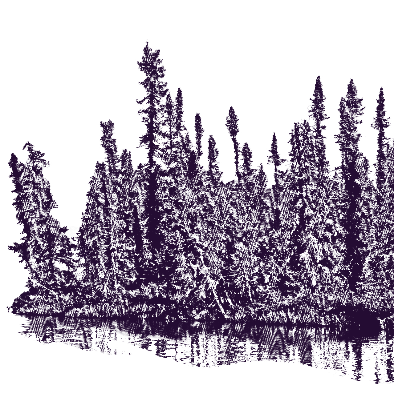TreeWaterJON_6053-engraved-purple